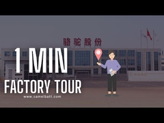 アジアで最も大きい鉛のちょうど1分の酸のカー・バッテリーの工場を発見しなさい